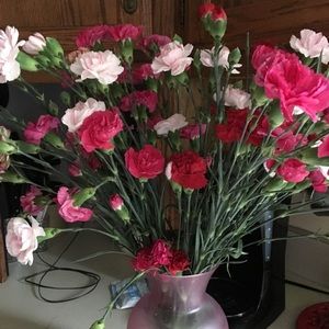 Meet your Posher, Bonnie